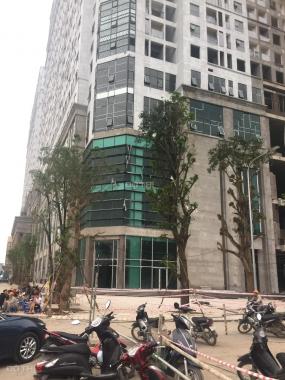 Bán căn hộ chung cư tại dự án Roman Plaza, Nam Từ Liêm, Hà Nội diện tích 77m2, giá 28 triệu/m2