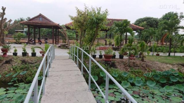 Cho thuê 0,5 hecta đất sân vườn đã có cơ sở hạ tầng giữa trung tâm TP Tây Ninh
