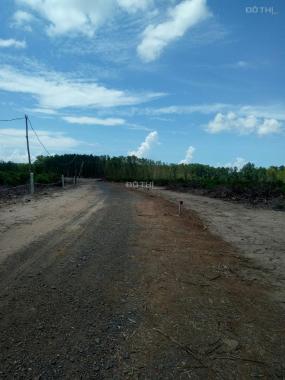 Cần bán 1 mẫu đất đối diện cổng KCN Đất Đỏ, cách đường QL 55 2 km