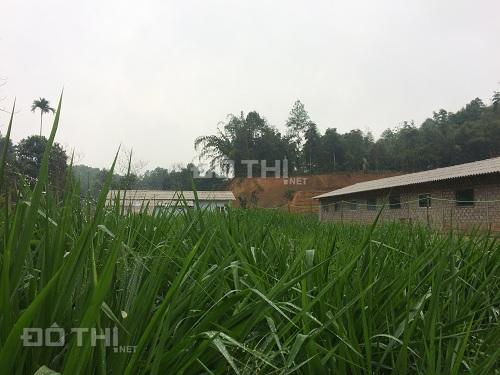 Bán khu đất Phường Yên Thịnh, TP Yên bái, 50tr/m theo mặt tiền