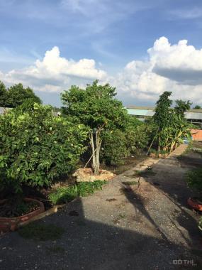 Bán trang trại vườn trái cây 2 mặt tiền Rạch Cầu Cây Xanh đường Bình Mỹ