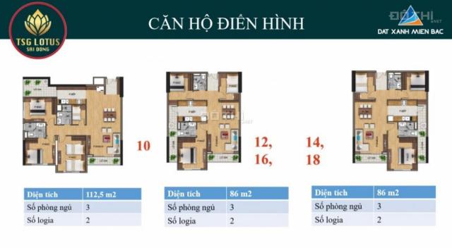 15/06 Khai trương căn hộ mẫu TSG Sài Đồng, CK ngay 3% + tặng gói NT Smarthome