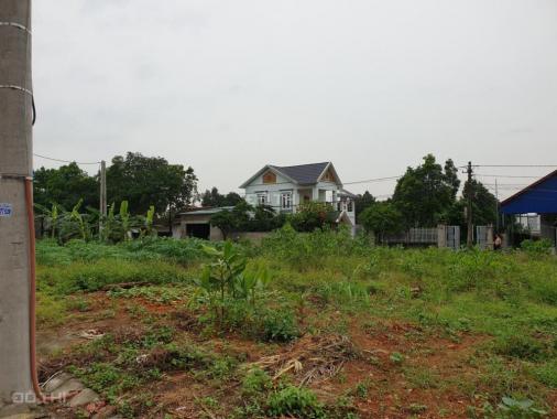 CC bán đất đấu giá thôn Thắng Trí, Sóc Sơn, Hà Nội, diện tích 100m2, giá rẻ 320tr - 0904.596.219