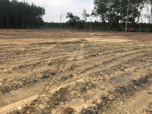 Bán đất nền dự án tại dự án khu công nghiệp Becamex, Chơn Thành, Bình Phước diện tích 250m2