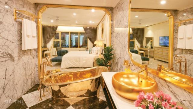 Bán căn hộ khách sạn 6 sao full nội thất dát vàng 24K tại hồ Giảng Võ, cam kết lợi nhuận 10%/năm