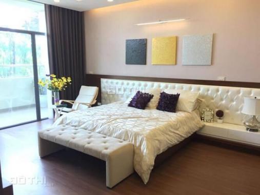 Cho thuê căn hộ chung cư tại dự án Royal City, Thanh Xuân, Hà Nội, DT 94m2. Giá 12 tr/th