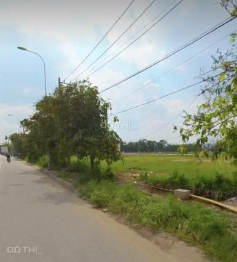 Bán đất nền dự án tại Đường Nguyễn Thị Định, Phường Thạnh Mỹ Lợi, Quận 2, Hồ Chí Minh