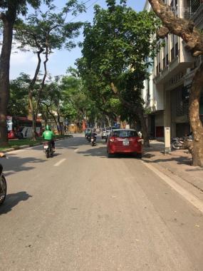 Bán gấp nhà phân lô phố Lê Hồng Phong, Ba Đình, DT 50m2 x 5T, ô tô, kinh doanh