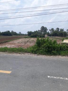 Bán đất mặt tiền TL 833, xã Tân Phước Tây, Tân Trụ, Long An