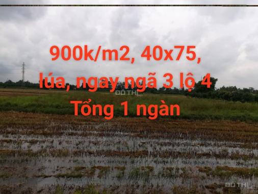 Bán đất mặt tiền Quốc Lộ 61C, đường nối Vị Thanh - Cần Thơ. LH: 0939289991