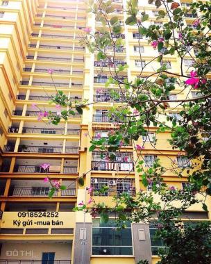 Bán căn hộ Petroland (66m2, 2PN, 1WC, sổ hồng) .LH 0903824249