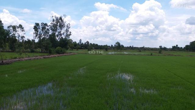 Bán đất công huyện Đức Hòa giá rẻ, 1470m2 xã Hòa Khánh Nam. Giá 1 tỷ 300 triệu