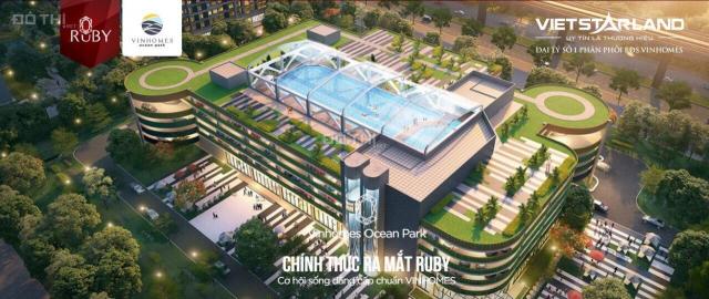 Chung cư cao cấp Ruby - Vinhomes Ocean Park, thông tin chính thức từ CĐT. LH GĐKD: 0986 696 192