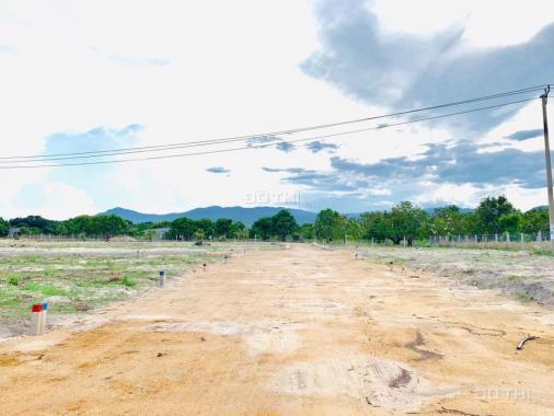Siêu phẩm đất nền Mango City - Dự án đất nền duy nhất ngay Bãi Dài Cam Ranh