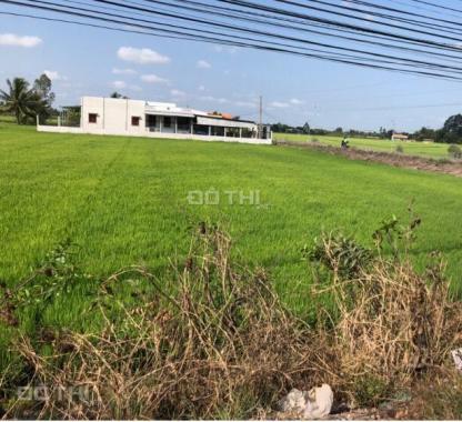 Cần tiền bán gấp 2200m2 đất huyện Thủ Thừa, Long An, giá rẻ bất ngờ
