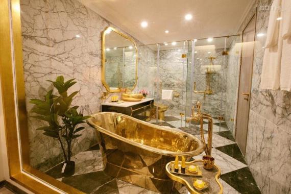 Mở bán căn hộ dát vàng Hà Nội Golden Lake B7 Giảng Võ tại khách sạn Daewoo, chỉ từ 9 tỷ căn 45m2