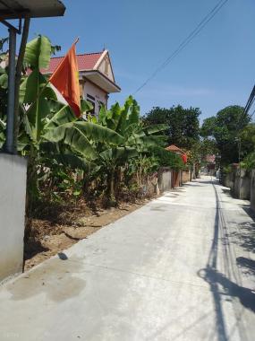 Bán đất tại Đường Tân Trại, Xã Phú Cường, Sóc Sơn, Hà Nội, giá 7 triệu/m2, gần sân bay Nội Bài