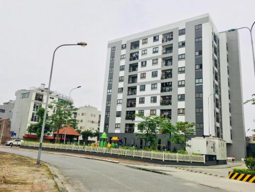 Căn hộ cao cấp gần Vinhomes Riverside, nhận nhà ở ngay, sổ đỏ lâu dài, giá chỉ từ 1,4 tỷ