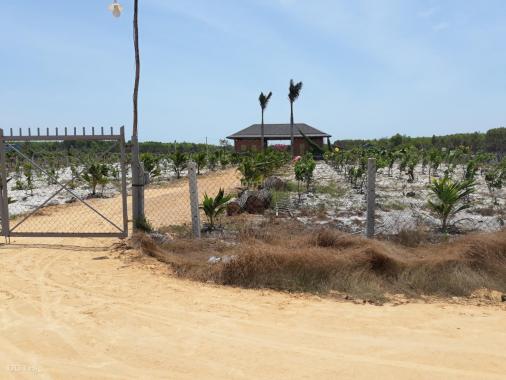 Bán đất nền khu biệt thự ven biển Bình Thuận giá chỉ 680tr - 1,2tr/m2, mặt tiền đường 33m