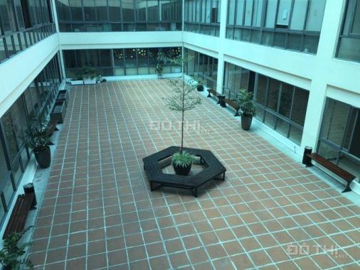 BQL tòa Toyota Thanh Xuân cho thuê văn phòng đại diện đẹp 170m2 tại Thanh Xuân, LH 0906011368