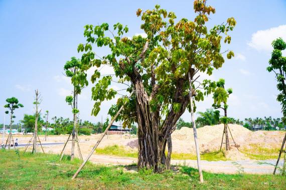 Đất nền giá rẻ hơn TT gần 100 triệu cách trung tâm TP 1km KDC Phú Điền Residences Quảng Ngãi