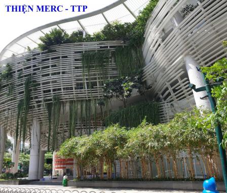Toà nhà đẹp, xây mới 100% MT Nguyễn Trọng Tuyển, Tân Bình, 277.86 nghìn/m2/tháng (Tin thật 1000%)