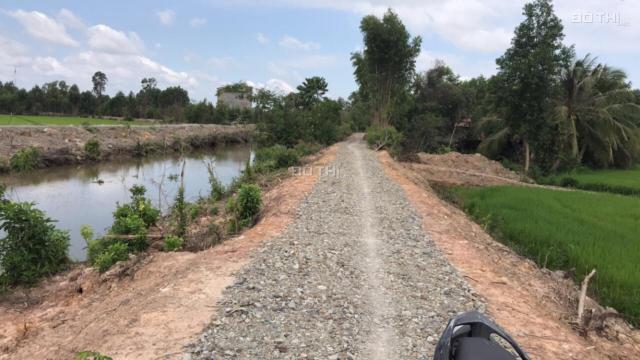 Bán đất công huyện Đức Hòa, giá rẻ, 17x73m đất nông nghiệp