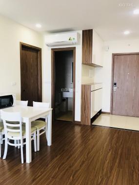 Cho thuê căn hộ chung cư Eco Green Nguyễn Xiển cực đẹp, 02 phòng ngủ, full nội thất, giá 12 tr/th