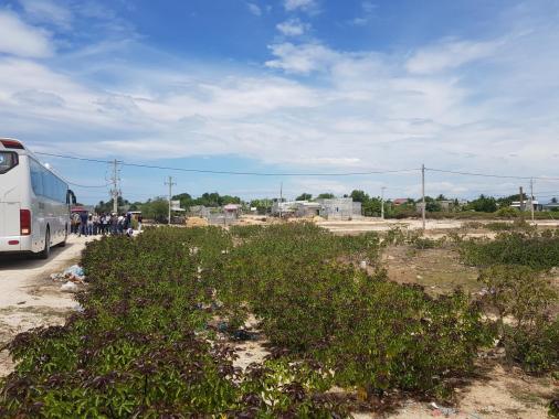 Hot đất nền Ninh Thuận: Liên hệ đặt chỗ sở hữu ngay lô đất vị trí ven biển pháp lý rõ ràng