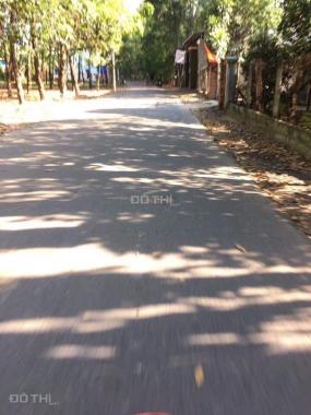 Đất mặt tiền DX 64, gần tái định cư Định Hoà, phường Định Hòa, TP. Thủ Dầu Một, tỉnh Bình Dương