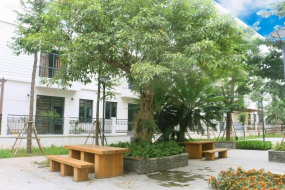 Bán gấp nhà vườn Pandora Thanh Xuân nằm trong quy hoạch mở đường Lương Thế Vinh sẽ tăng giá cực cao