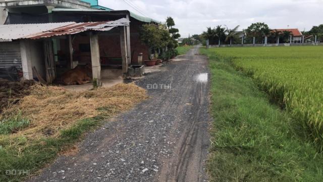 Bán đất nền giá rẻ huyện Đức Hòa, 10x42m, xã Hòa Khánh Đông