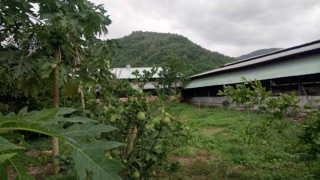 Bán trang trại tại Đường Hắc Dịch - Tóc Tiên, Xã Tóc Tiên, Phú Mỹ, Bà Rịa Vũng Tàu, DT 24000m2