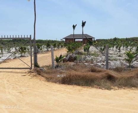 Đất nền ven biển La Gi Bình Thuận điểm đón đầu của các dự án lớn, giá chỉ 980 triệu/1000m2