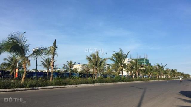 FLC Sầm Sơn tưng bừng chính sách tháng 8. Chiết khấu 6% - giảm thêm 108 triệu - Tặng 1 cây vàng