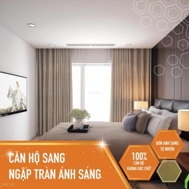 Còn gì tuyệt vời hơn khi sở hữu căn hộ view công viên Chu Văn An, gần kề 36 phố thương mại thu nhỏ