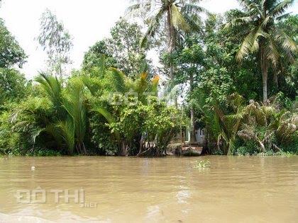 Bán đất thổ cư Bến Tre mặt tiền sông lớn dài 100m, đường xe rộng 5m, qua cầu Rạch Miễu 3km tới