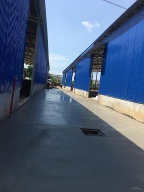 Minh Việt Group cho thuê kho 500m2 đến 5000m2 tại trục Đại Lộ Thăng Long, cách cầu vượt Tây Mỗ 4km