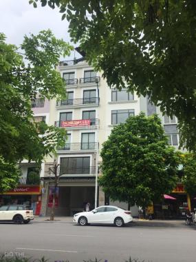 Cho thuê mặt bằng kinh doanh, VP Nguyễn Khánh Toàn: 130m2 x 6 tầng, lô góc, mới đẹp, giá cực rẻ