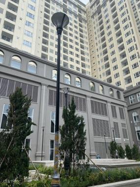 Bán căn hộ chung cư tại dự án Sài Gòn Mia, Bình Chánh, Hồ Chí Minh, diện tích 65m2, giá 3.1 tỷ