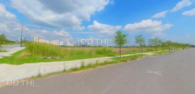 Bán đất tại Đường Trần Não, Phường Bình An, Quận 2, Hồ Chí Minh, diện tích 100m2, giá 30 triệu/m2