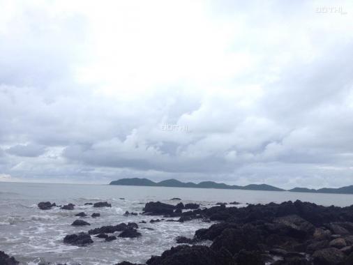 Tôi thích sự hoang sơ của biển Phú Yên! Dự án Nam Tuy Hòa