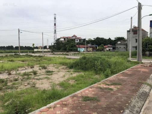 Bán đất đấu giá Mai Lâm, Đông Anh, Hà Nội
