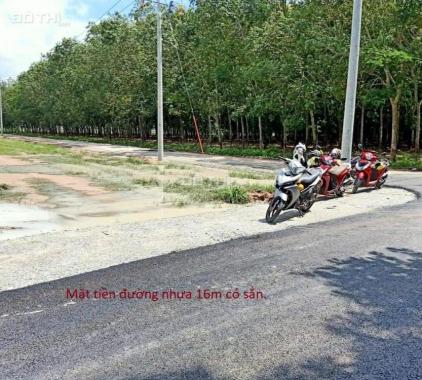 Bán một m2 đất giá siêu rẻ chỉ 500 nghìn đồng tại Chơn Thành