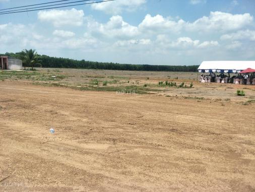 Bán đất tại Đường 14, xã Minh Lập, Chơn Thành, Bình Phước diện tích 1000m2, giá 500 triệu
