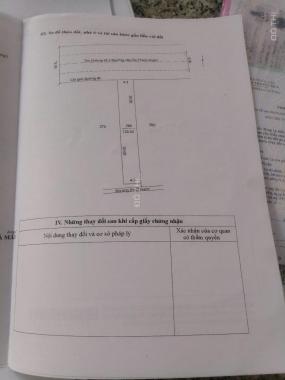 Bán đất thổ cư P8, Cà Mau, 9,3x30m, giá 2,6 tỷ