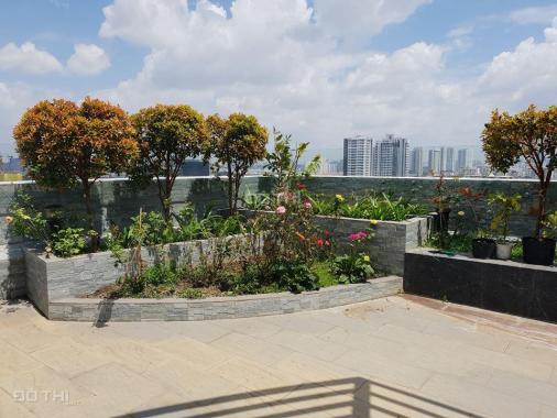 Bán penthouse Riverpark Phú Mỹ Hưng, 500m2 thiết kế độc đáo, view đẹp xuất sắc - 0949.333.811