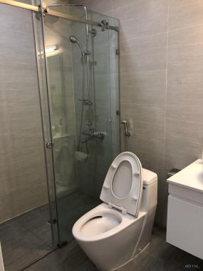 Cho thuê căn hộ chung cư tại dự án Vinhomes D'Capitale, Cầu Giấy, Hà Nội, DT 72m2, giá 19 tr/th