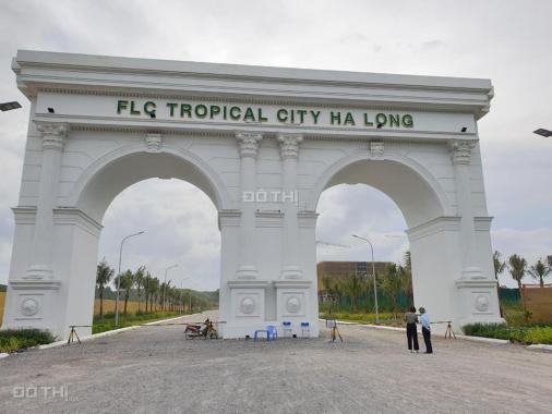 FLC Tropical City - chung cư giá rẻ
