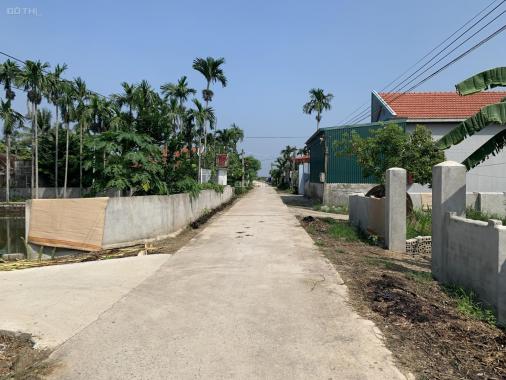 Ngân hàng thanh lý đất xóm 2 xã Nga Tân, Nga Sơn, Thanh Hóa - 242m2